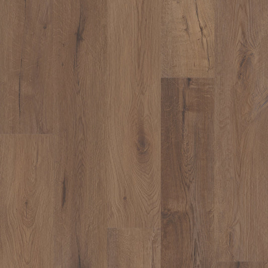 Cerith Oak