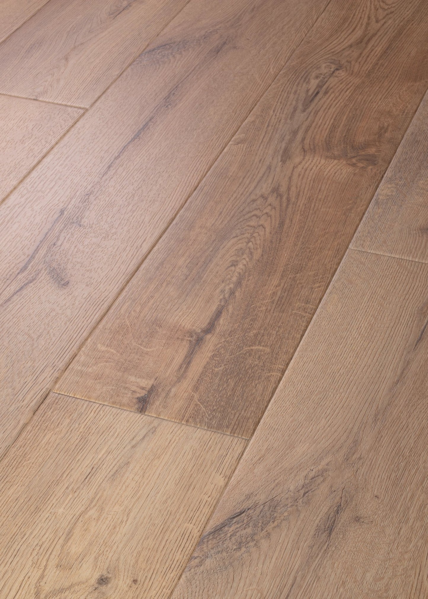 Sand Dollar Oak
